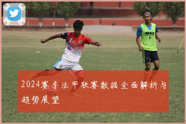 2024赛季法甲联赛数据全面解析与趋势展望