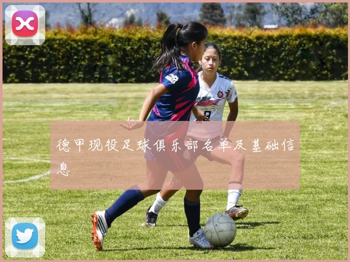 德甲现役足球俱乐部名单及基础信息