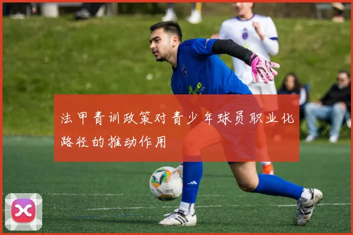 法甲青训政策对青少年球员职业化路径的推动作用