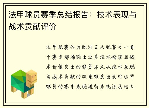 法甲球员赛季总结报告：技术表现与战术贡献评价