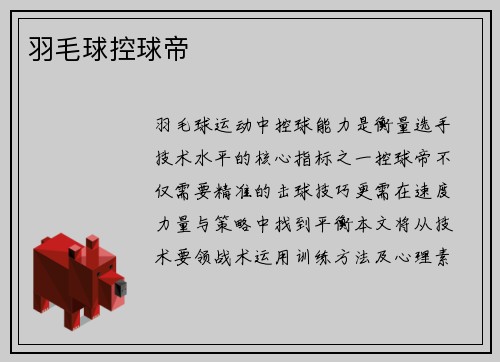 羽毛球控球帝